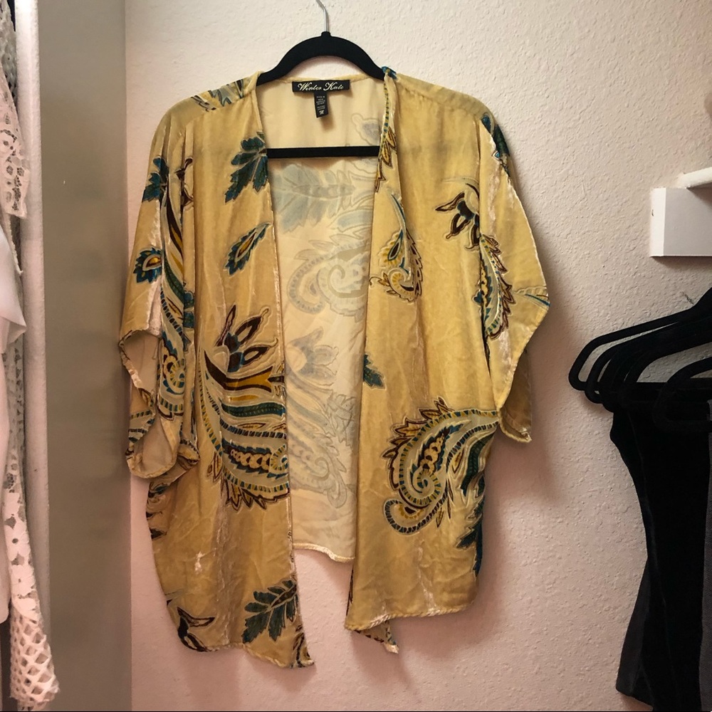 Winter Kate velvet top